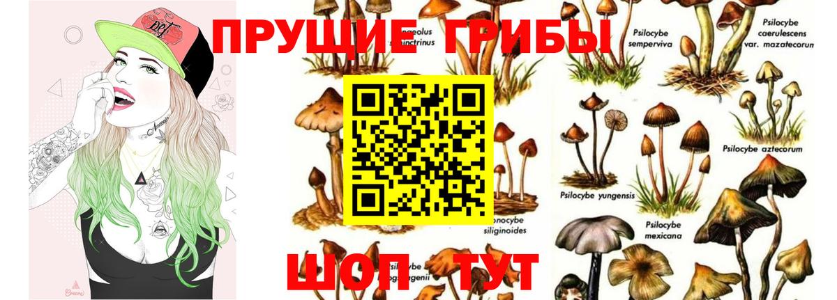 Кохма  Галлюциногенные грибы ЛСД  Вход с VPN 